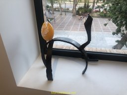 Exposición de Flyppy 2023